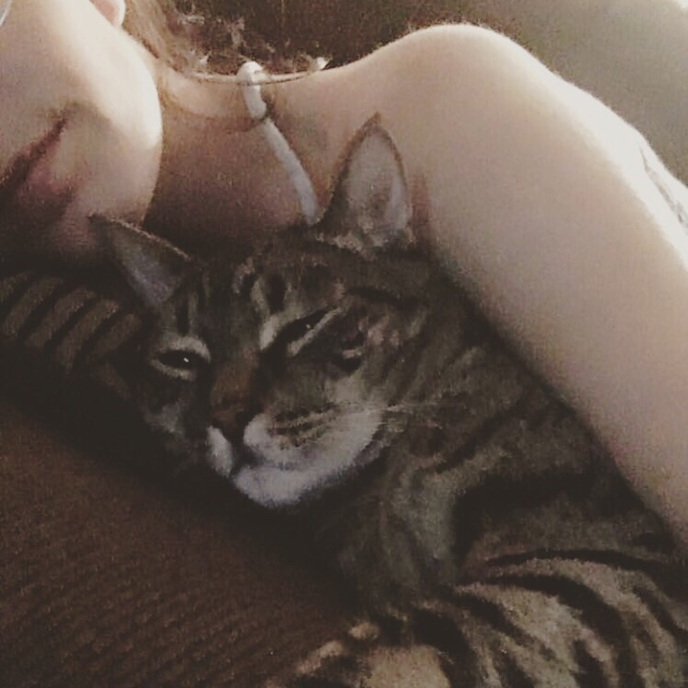 Meet your Posher, Maja